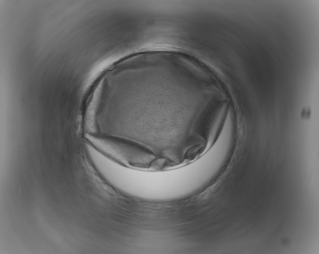 X0000113631461200910091544
