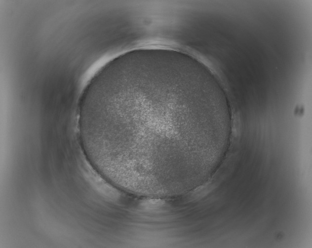 X0000113631462200910091544