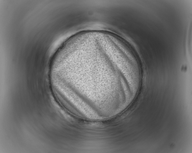 X0000113631464200910091544
