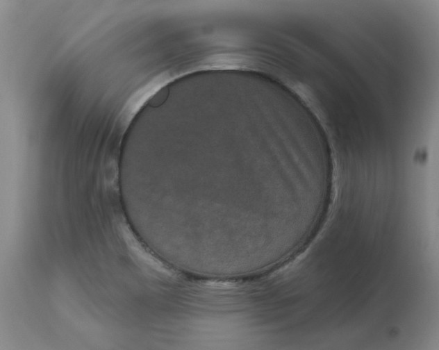 X0000113631465200910091544