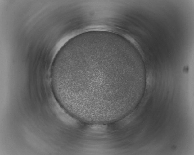X0000113631466200910091544