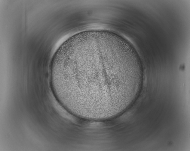 X0000113631467200910091544