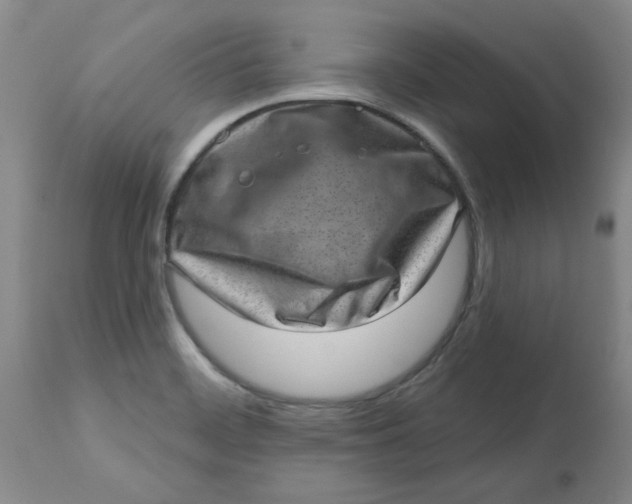 X0000113631468200910091544