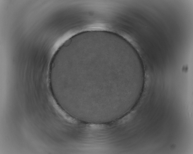 X0000113631469200910091544