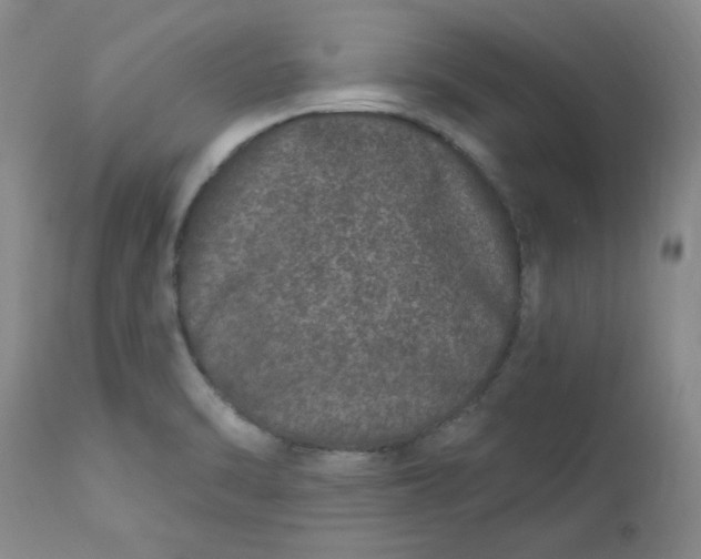 X0000113631470200910091544