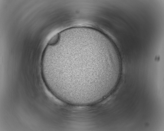 X0000113631471200910091544