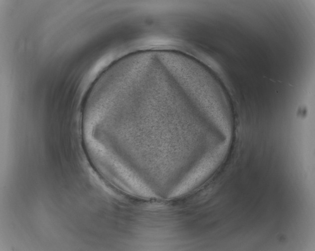 X0000113631472200910091544