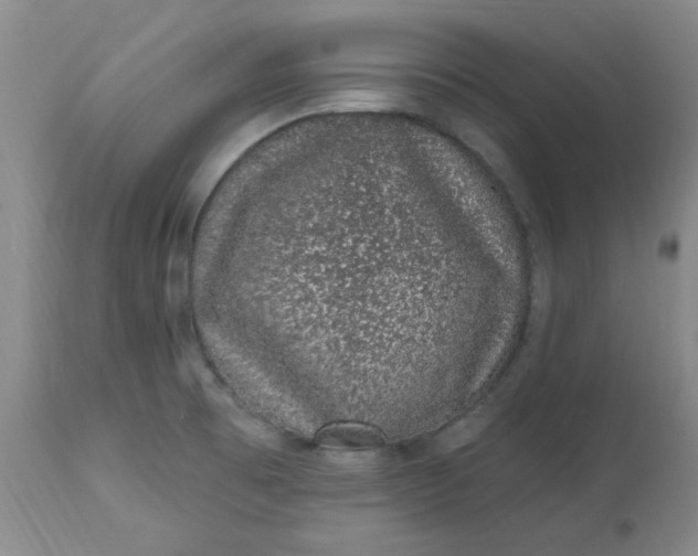 X0000113631473200910091544