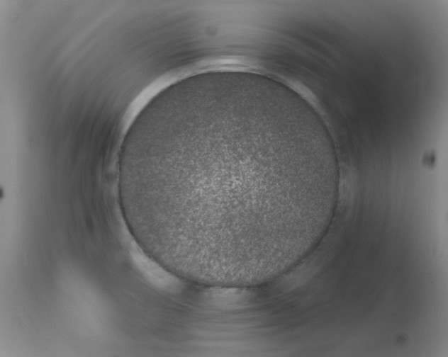 X0000113631474200910091544