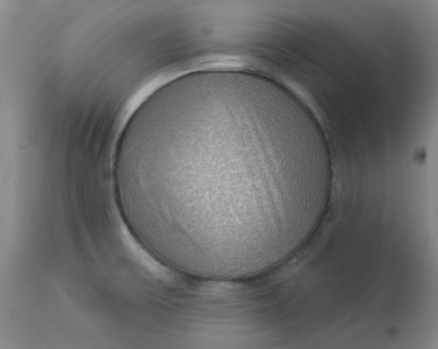 X0000113631475200910091544