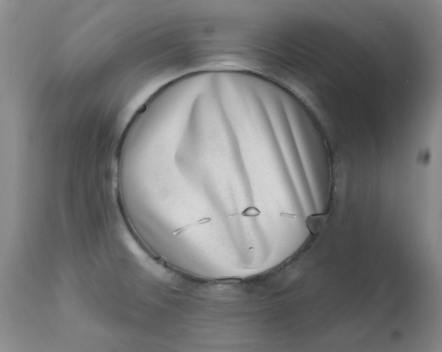 X0000113631476200910091544