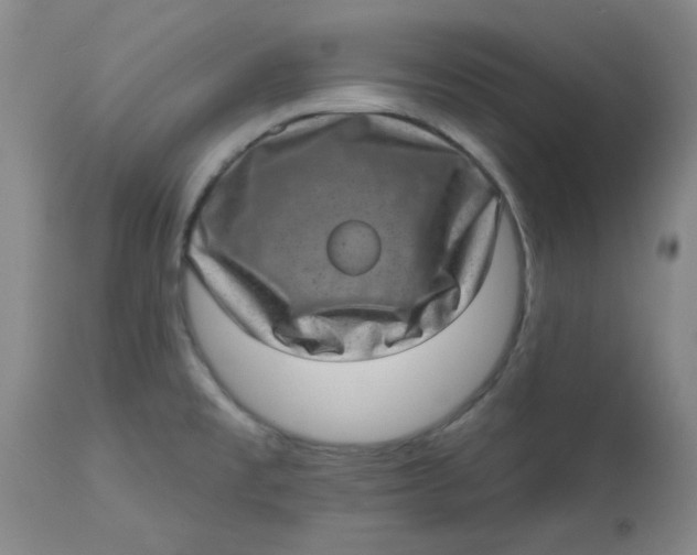 X0000113631477200910091544