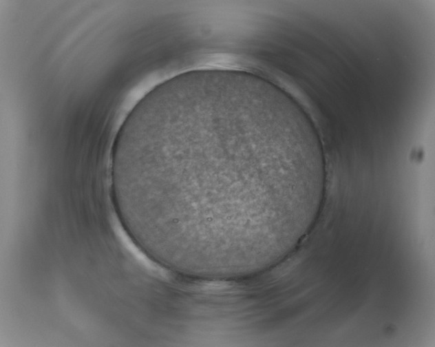 X0000113631479200910091544