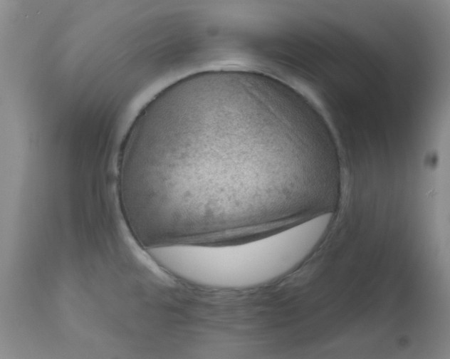 X0000113631480200910091544