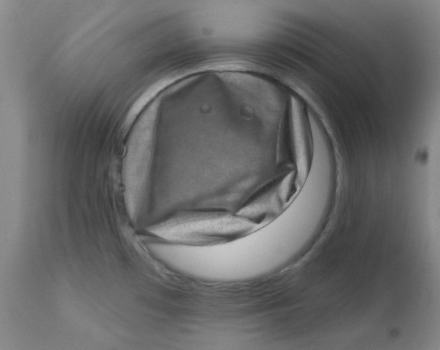 X0000113631481200910091544