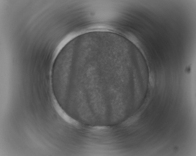 X0000113631482200910091544