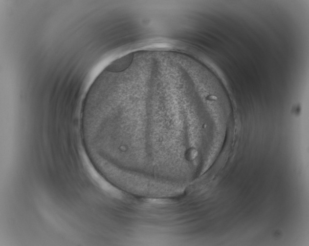 X0000113631483200910091544