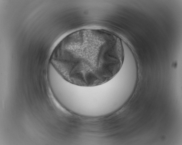 X0000113631484200910091544
