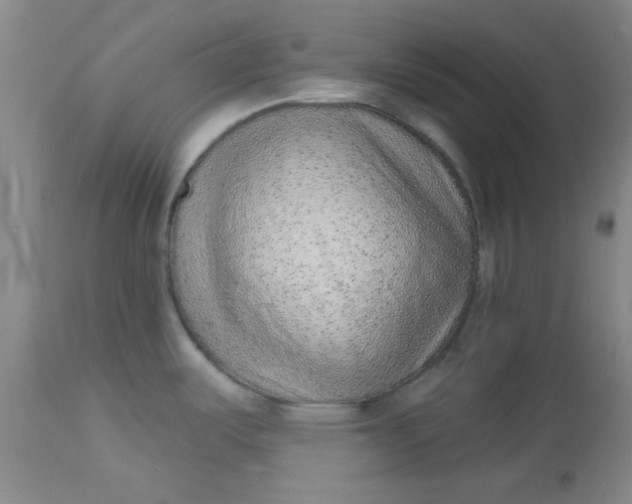 X0000113631487200910091543