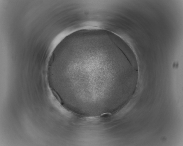 X0000113631488200910091543