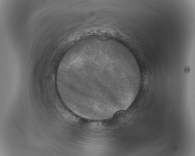 X0000113631489200910091543