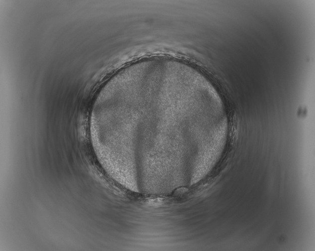 X0000113631490200910091543
