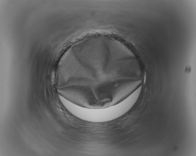 X0000113631492200910091543