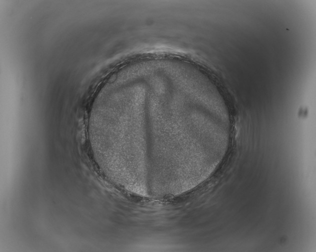 X0000113631493200910091543