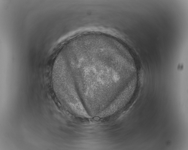 X0000113631494200910091543
