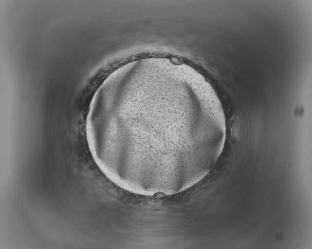 X0000113631495200910091543