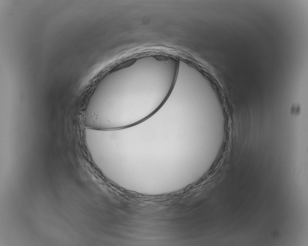 X0000113631496200910091543