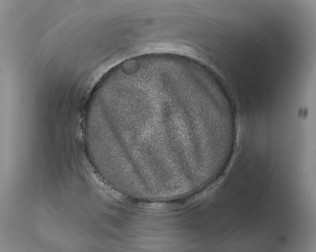 X0000113631497200910091543