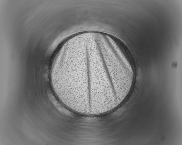 X0000113631499200910091543
