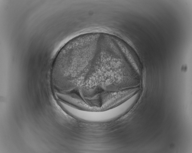 X0000113631500200910091543