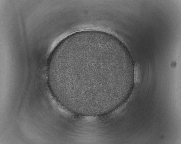 X0000113631501200910091543