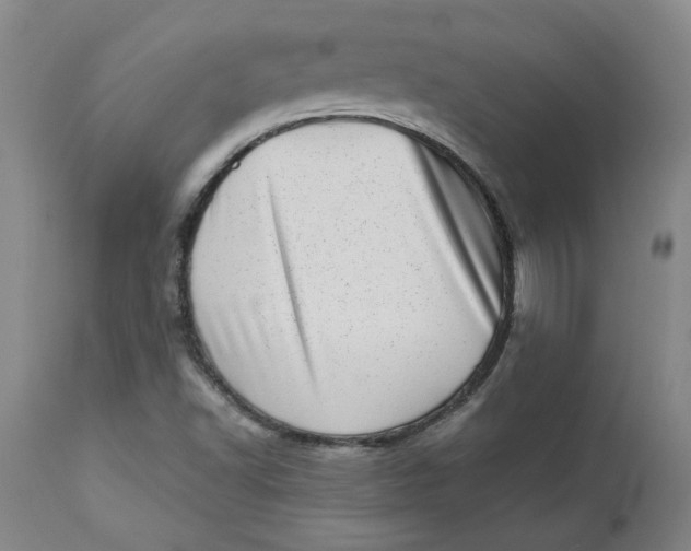 X0000113631502200910091543