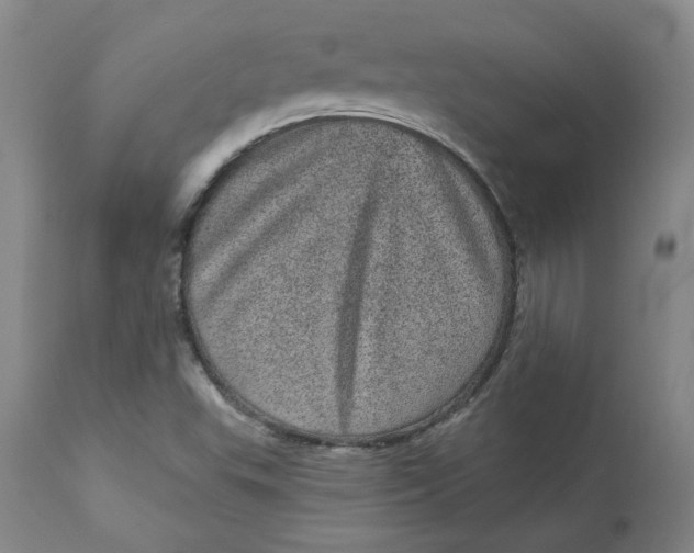 X0000113631503200910091543