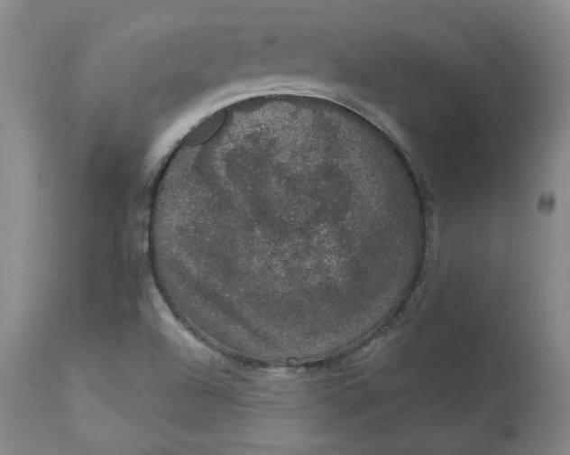 X0000113631504200910091543