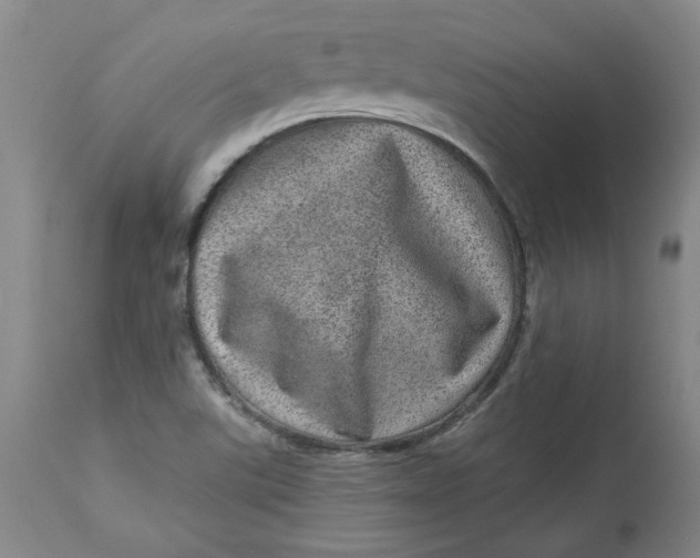 X0000113631507200910091543