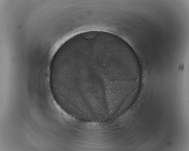 X0000113631508200910091543