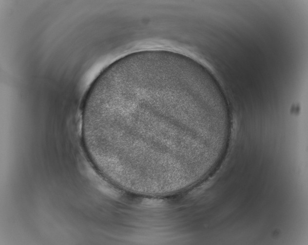 X0000113631509200910091543