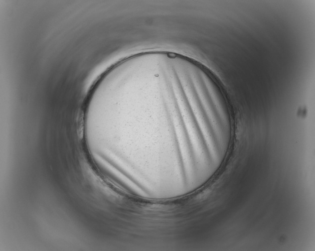 X0000113631510200910091543