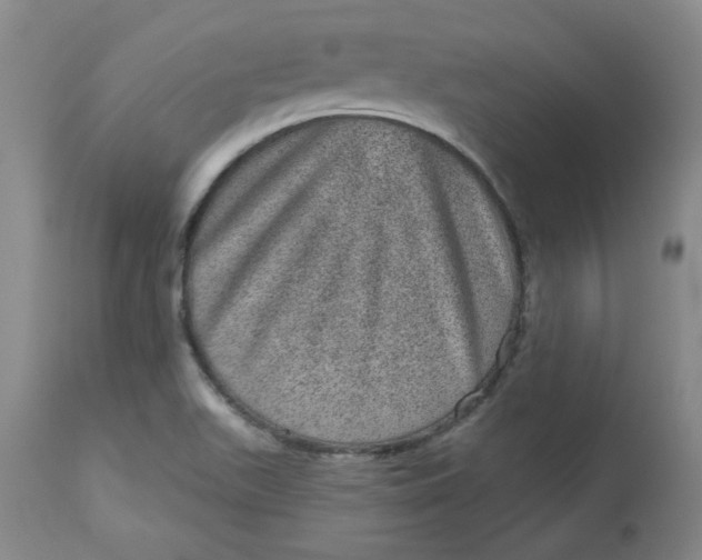 X0000113631511200910091543