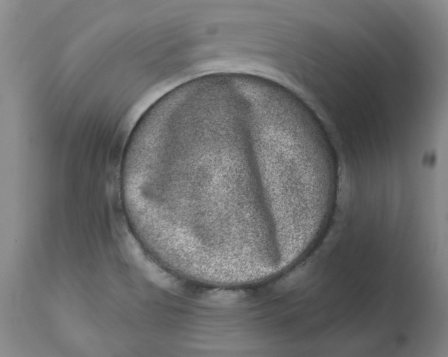 X0000113631513200910091543