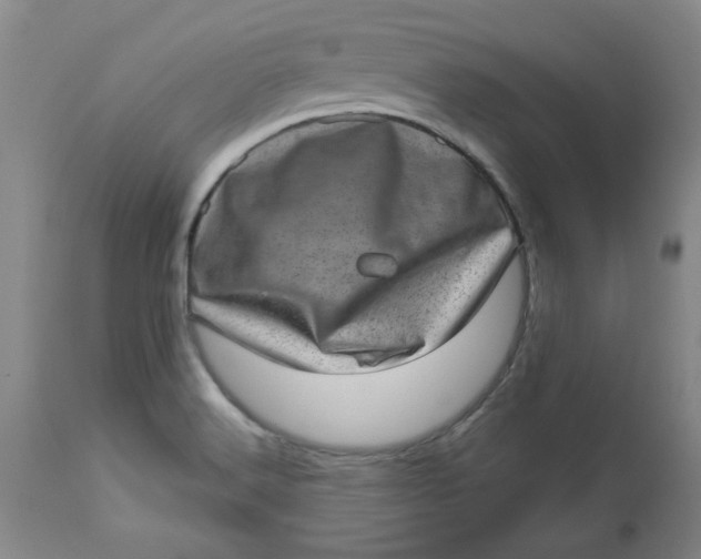 X0000113631516200910091543