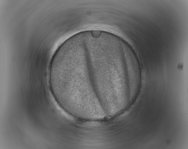 X0000113631517200910091543
