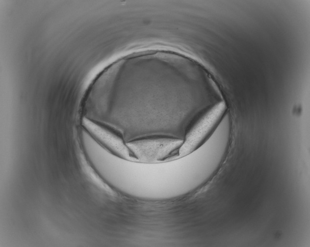 X0000113631518200910091543