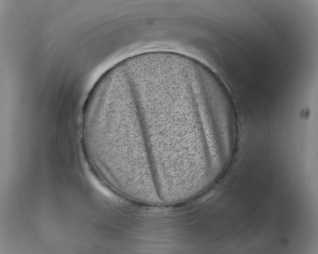 X0000113631519200910091543