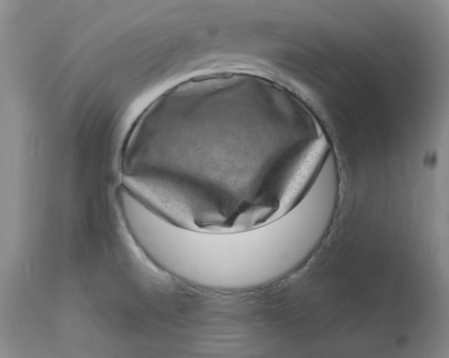 X0000113631520200910091543