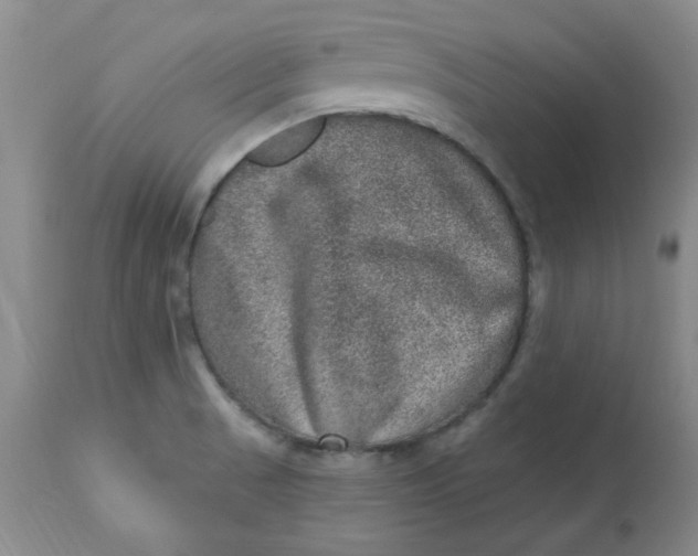 X0000113631521200910091543